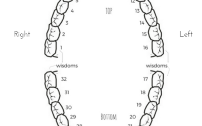 The Spiritual Meaning of Teeth