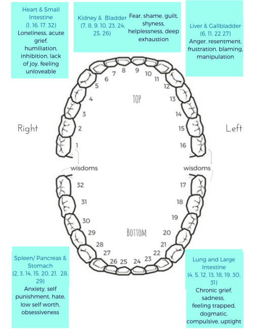 The Spiritual Meaning of Teeth